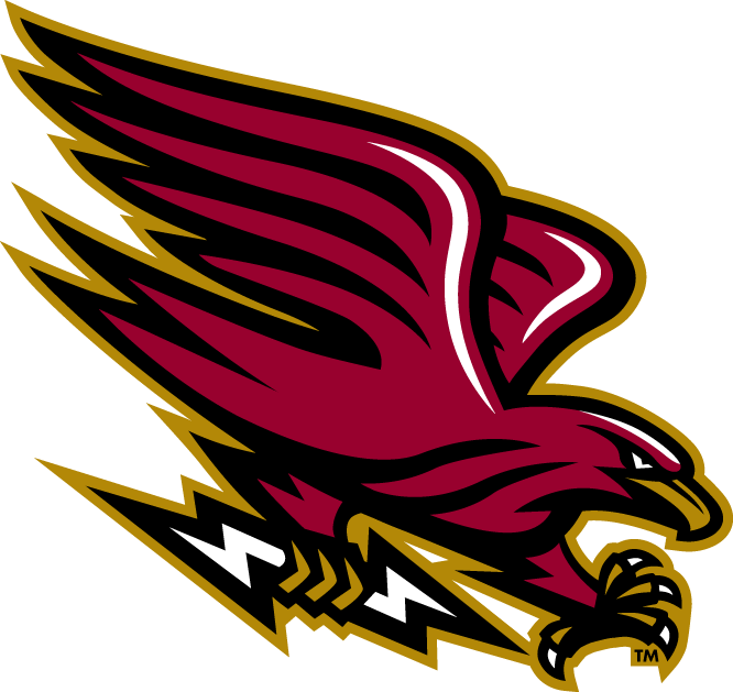 Louisiana-Monroe Warhawks 2006-Pres Alternate Logo v9 iron on transfers for fabric